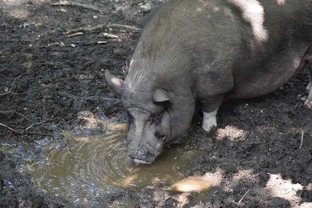 更是对比赛 更是对比赛