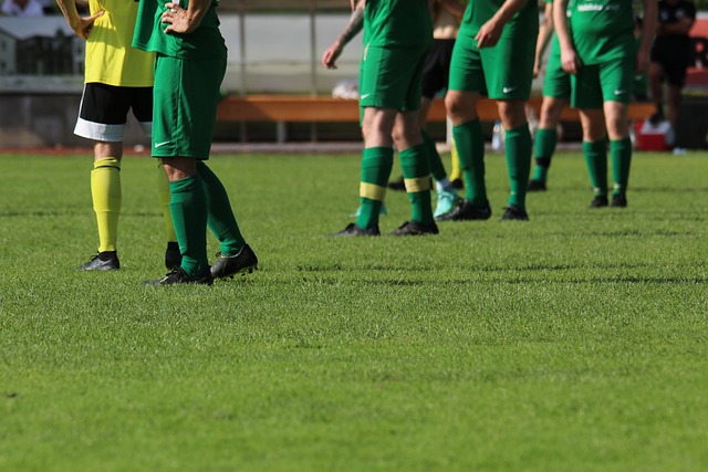 场重量级比 场重量级比