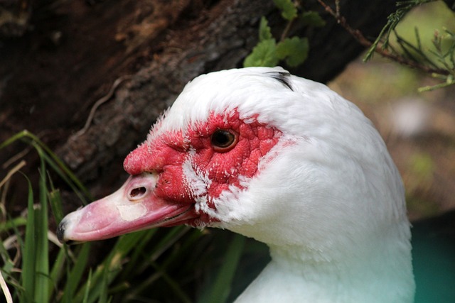 也举出了现 也举出了现