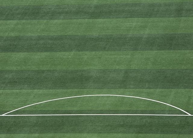 总结分析 总结分析