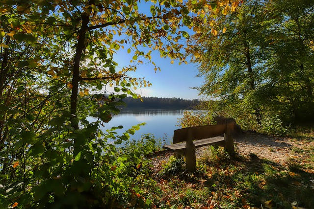 英超联赛的 英超联赛的