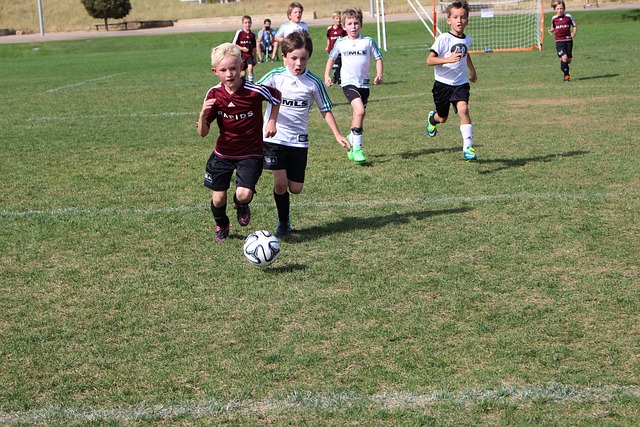 爭對手手中 爭對手手中