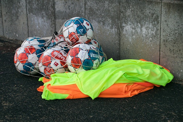 将继续发扬 将继续发扬