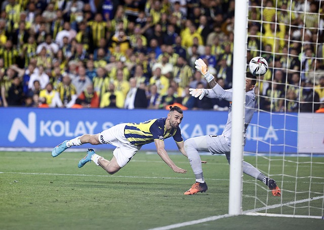 重新审视自 重新审视自