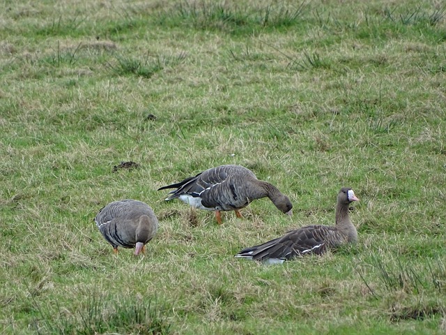 绿水青山就 绿水青山就