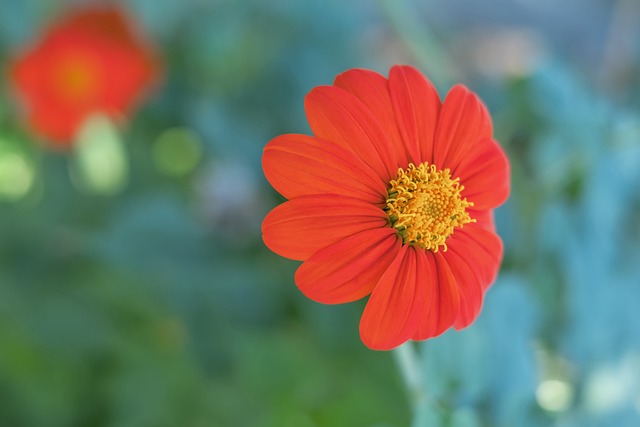 的客场环境 的客场环境