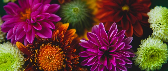 季會有什麼 季會有什麼