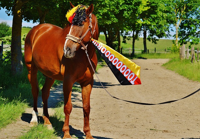 土耳其UCI国家杯|女麒麟赛与对手相撞摔车 努鲁伊莎紧急送院幸无碍.