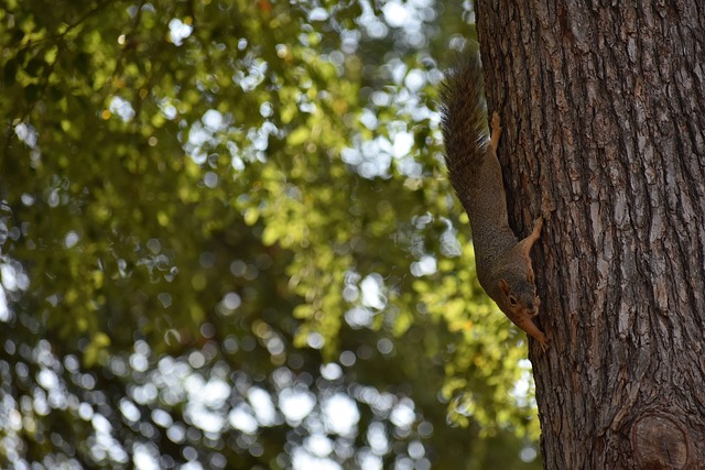 是一个不断 是一个不断