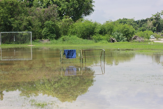 西甲第38輪格拉納達0-0西班牙人 武磊替補出場.